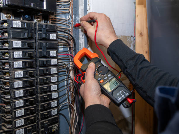Best Ceiling Fan Installation Electrician  in Wallis, TX